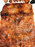 Large, brown desiccated slab of bacteria. Its surface is wrinkled and translucent. Bits of colorful plastic are encased inside.