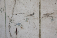 Fig. 21.572. Porticus 60, west wall, panel 1, middle zone, right, grasshopper. Photo: P. Bardagjy.