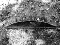 Frank Burrows's grave, Old City Cemetery, Jacksonville, Florida. Photo by William B. Brainard.