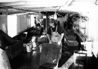 A photograph of a man cleaning up the tug after all fish have been pulled and sorted.