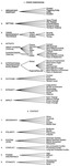 Figure I.5: Macro level dimensions of crisis (8 clusters from breakpoint to impact), and context of crisis.