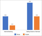 Internet use in key economic activities in Angola and Kenya