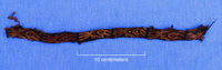 A photo of a brown and black round cord that features bird motifs.