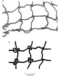 A photo of part of Net 4 and a close-up drawing of the net.