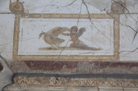 Fig. 21.548. Porticus 60, north wall, tympanum, center panel, cupid and duck. Photo: P. Bardagjy.