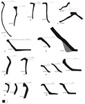 Fig. 13. Profile drawings of 10 groups of cooking vessels at all three sites. From Musarna we see examples of olle, pentole, and lids in ceramica da fuoco and tegami and pentole in internal red-slip ware. From Populonia we see olle and pentole in ceramica da fuoco, and tegami in internal red-slip ware. From Cetamura we see olle in ceramica da fuoco and tegami in internal red-slip ware.