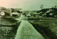Fig. 5. An old photograph of a road leading through rice paddies to a small settlement in the background.