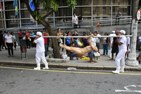 A nude, middle-­aged woman with olive skin and shaven head hangs from a pole, tied by hands and feet. Two men wearing white shirts, pants, rubber boots, and surgical masks carry the pole along a busy street. A third man, dressed the same way, walks with them as passersby stop to watch