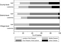 Figure 7.  Bar graph showing the class composition of local government personnel by level and position