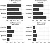 Beliefs about race and racism across the democracy typology.