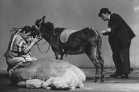 The two protagonists are on stage with a donkey. Weisman (Klaus Manchen), on the right, is standing behind the donkey, bending sideways to see what Copperface (Hansjürgen Hürrig), who is squatting on the left, pressing his forehead against the donkey’s, is up to.