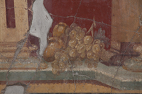 Fig. 2.32. Oecus 23, south wall, middle zone, center, quinces and grapes. Photo: P. Bardagjy.
