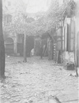 A black and white photo shows the Courtyard of the shop of the antiquarian dealer Andronicus M. Kidaoglon.