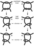 Six drawings of knots in 2 columns and 3 rows. The first row depicts overhand knots 1 and 2. The second row depicts half hitch knots 1 and 2 (obverse). The third row repeats half hitch knots 1 and 2 (reverse).