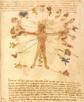 Source: Codex Vaticanus Latinus, 3738, pl. 73. Biblioteca Apostolica Vaticana, Italy.