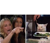 Two images are side by side. First image shows a white woman yelling and pointing toward the right while a friend holds her back. Second image shows a cat sitting in front of a salad looking affronted. A white box for text appears above each image.