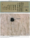 The upper photo shows an original material and the lower photo shows a compact surface owing to close attachment of the fibres.