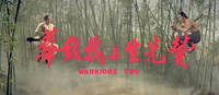 Red calligraphic and roman text over a color background of two people fighting in a bamboo forest.