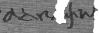 Photograph showing the shape of letter phi in the word adelph- as written in PSI XV 1532.