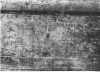 Fig. 3.25. Room 12, south wall, upper zone, right part, detail of flower border beneath stucco cornice. Photo: M. Larvey.