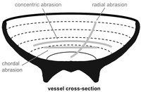 Fig. 10. Diagram of lines of scratches on a vessel that aid in recording the observation of abrasion on an archaeological vessel.