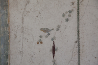 Fig. 21.567. Porticus 60, west wall, panel 1, middle zone, left, bird. Photo: P. Bardagjy.