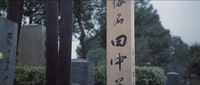 A cemetary in the forest. Calligraphy is visible on tombstones and wooden markers.