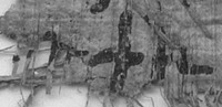 Photograph showing the shape of letter phi in the word adelph- as written in P.Oxy. III 648.