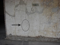 Fig. 20.112. Porticus 60, west wall between 72 and 74. Photo: R. Benefiel.