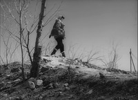 A woman walks across rocky ground covered in twigs and small, barren trees.