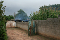 Photograph showing a street view of a house with maize stalks in the front yard and smoke coming from the smokehouse for curing meat in the backyard visible.