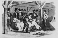 Figure 1.3 "Scene at the Offal Dock, foot of Forty-fifth Street, N.Y. Dissecting the cow brought from the 16th St. Swill Cow Stables."