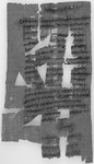Petition wegeneinesnichtzurückgezahlten Darlehens; Kollasucha und Tertonpetemun (Herakleopolites), 5. Juli 137 v.Chr. Black and white image of the front of a piece of papyrus with writing on it.