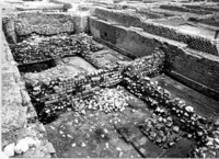 30 Photograph of dilapidated wall in Area 33 taken in 1960s - 1970s by the Archaeological Superintendency of Lazio (source: Archive SAL, I 1624).