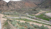 Photo of the Stringfellow Superfund Site with vegetation growing after removal of the acid pits