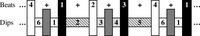 Fig. 2. Bar graph showing layering between the beats and dips.