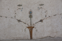 Fig. 21.565. Porticus 60, west wall, middle zone, panel 1, center, peacock feather in basket. Photo: P. Bardagjy.