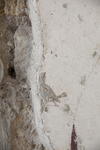 Fig. 21.552. Porticus 60, south wall, middle zone, right, bird and lozenge. Photo: P. Bardagjy.