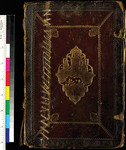 A tan cover of a book with an ornamentation on its center. The cover has a color baron its left side.