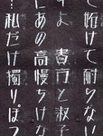 A detail of an intertitle screen’s calligraphic text, white on black.