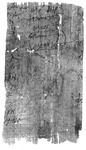 Document concerning the ἐμβολή; Heracleopolite, mid-IV CE. Black and white image of the back of a piece of papyrus with writing on it.