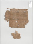 An image of the lower section of front side of the papyrus, showing the text in question.