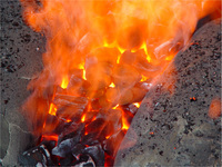 火床の中にある木炭と原料の状況。