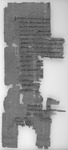Petition wegen Verdrängungaus dem Erbteil; Chnothis (Herakleopolites), 7.–8. Juli 137 v.Chr. Black and white image of the front of a piece of papyrus with writing on it.