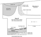 A drawn cross-section of an excavation site. Structure 4 is a burial cist made of stones in ash and sand mortar, lined with a layer of reed mats. To the left are looters’ pits. Below it is Zone B, which is a Late Intermediate midden with Donax predominant, burnt cane, and huarango post. Below that is Zone C, which consists of brown domestic refuse, stones and sterile sand. Below that is unexacavated.