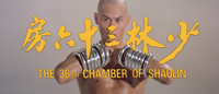 Yellow Chinese titles calligraphy and English titles is superimposed on San Te, played by Gordon Liu. He practices the Hung Gar form "Tien Sin Kuen" or "Iron Wire Form" using iron rings. This is the complete title after titles have appeared one by one. The English title is below the Chinese.