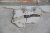 Fig. 21.547. Porticus 60, north wall, upper zone, right panel, swag with peacock feathers. Photo: P. Bardagjy.