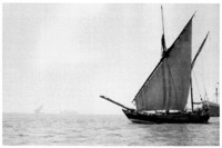 Dhow under sail off the west coast of India Ray Smith