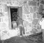 The stone wall of a camp cabin, at night, is lit by camera flash. Two boys, their backs to the camera, lean in at the window of the cabin. One of them is kneeling on the window sill, but they have stopped at the threshold. A third boy is visible to the right.