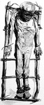 A black and white drawing of a mummified child, bound to a ladder-­like rack by the hands, ankles, and neck.